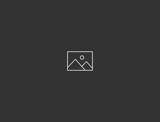 image-grid-v1